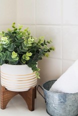 Flora Bunda Inc Artificial Eucalyptus in 4.75" Ceramic Pot on Wood Stand