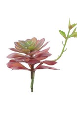 Artificial Faux Echeveria Lola with Stem Mauve