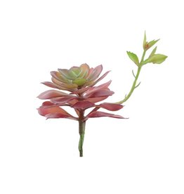 Flora Bunda Inc Artificial Faux Echeveria Lola with Stem Mauve