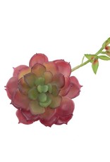 Flora Bunda Inc Artificial Faux Echeveria Lola with Stem Mauve