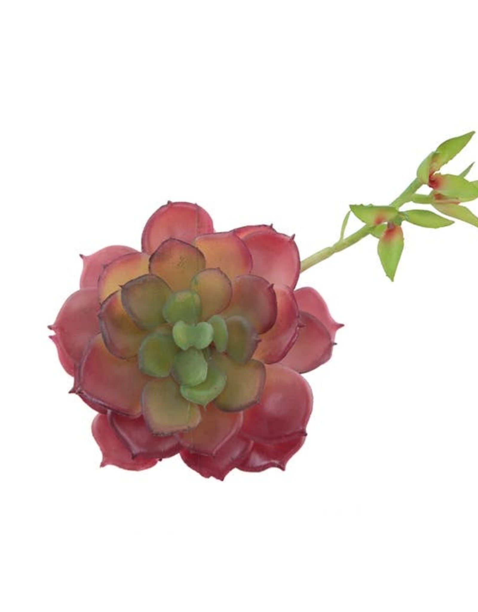 Artificial Faux Echeveria Lola with Stem Mauve