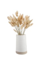 Bunny Tails In 6.25"H Ceramic Vase 14"H Total