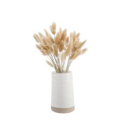 Bunny Tails In 6.25"H Ceramic Vase 14"H Total