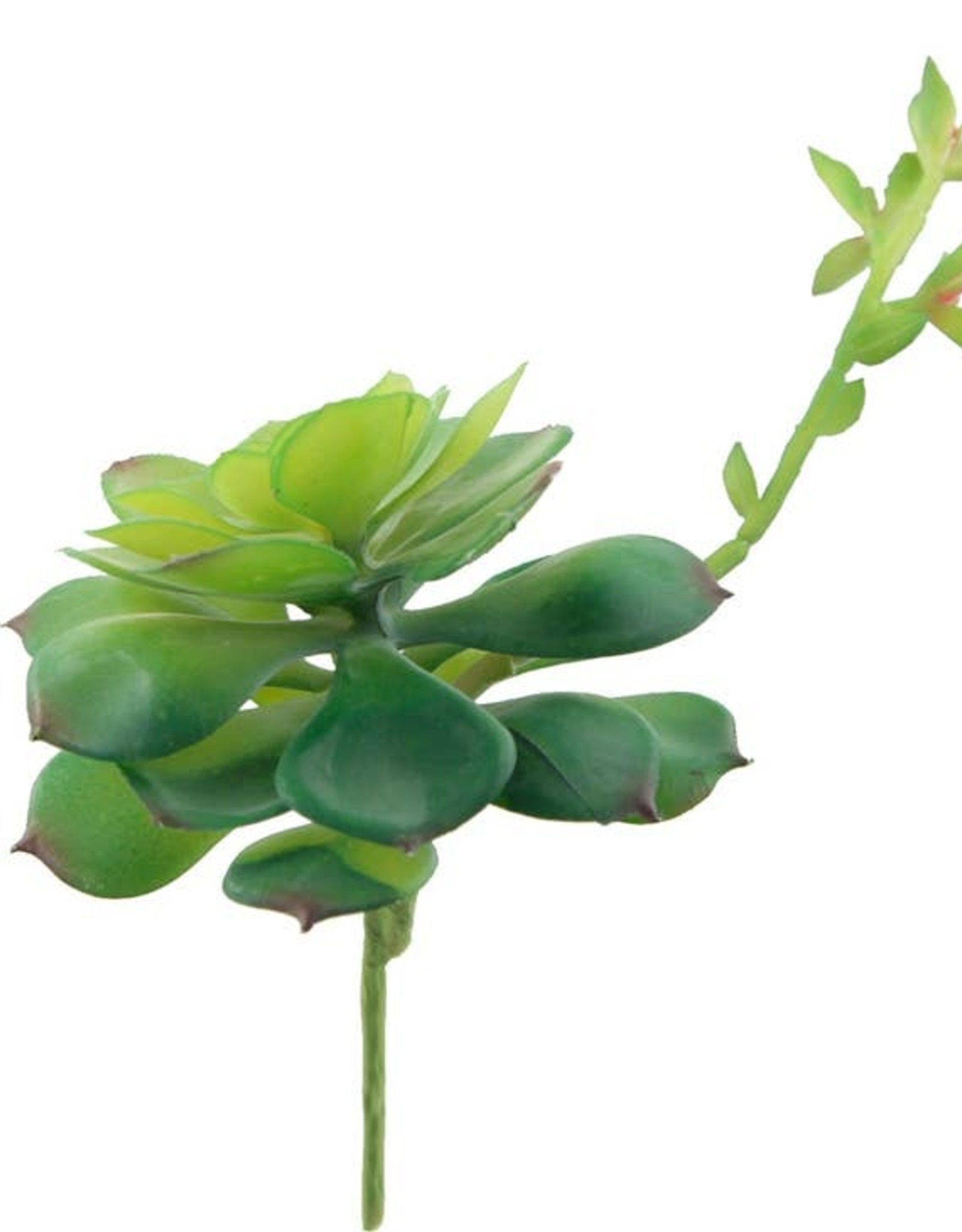 Artificial Faux Echeveria Lola with Stem Green