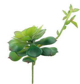 Artificial Faux Echeveria Lola with Stem Green