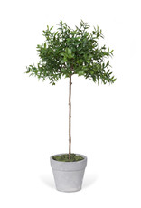 Park Hill Collection Boxwood Topiary 13"Tall