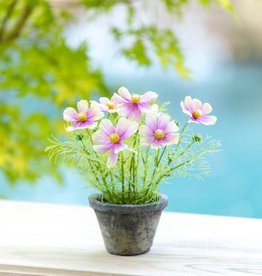 Park Hill Collection Cosmos Plant in Terra Cotta Pot, Light Mauve