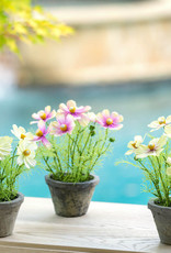 Park Hill Collection Cosmos Plant in Terra Cotta Pot, Light Mauve