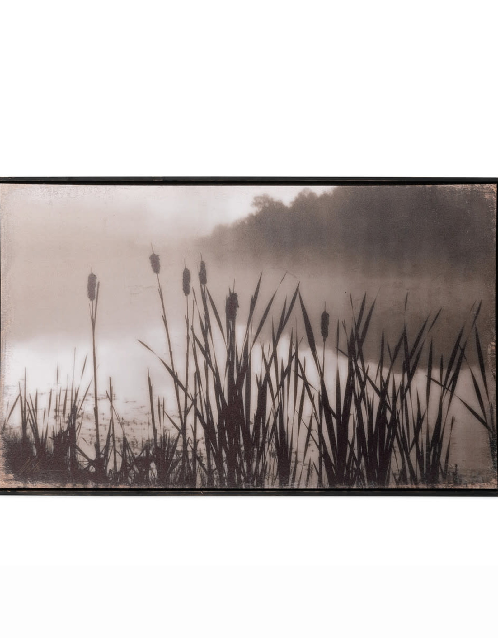 Park Hill Collection Framed Cattail Print 36.5"L x 1.25"W x 22.75"H