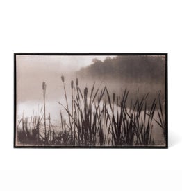 Park Hill Collection Framed Cattail Print 36.5"L x 1.25"W x 22.75"H