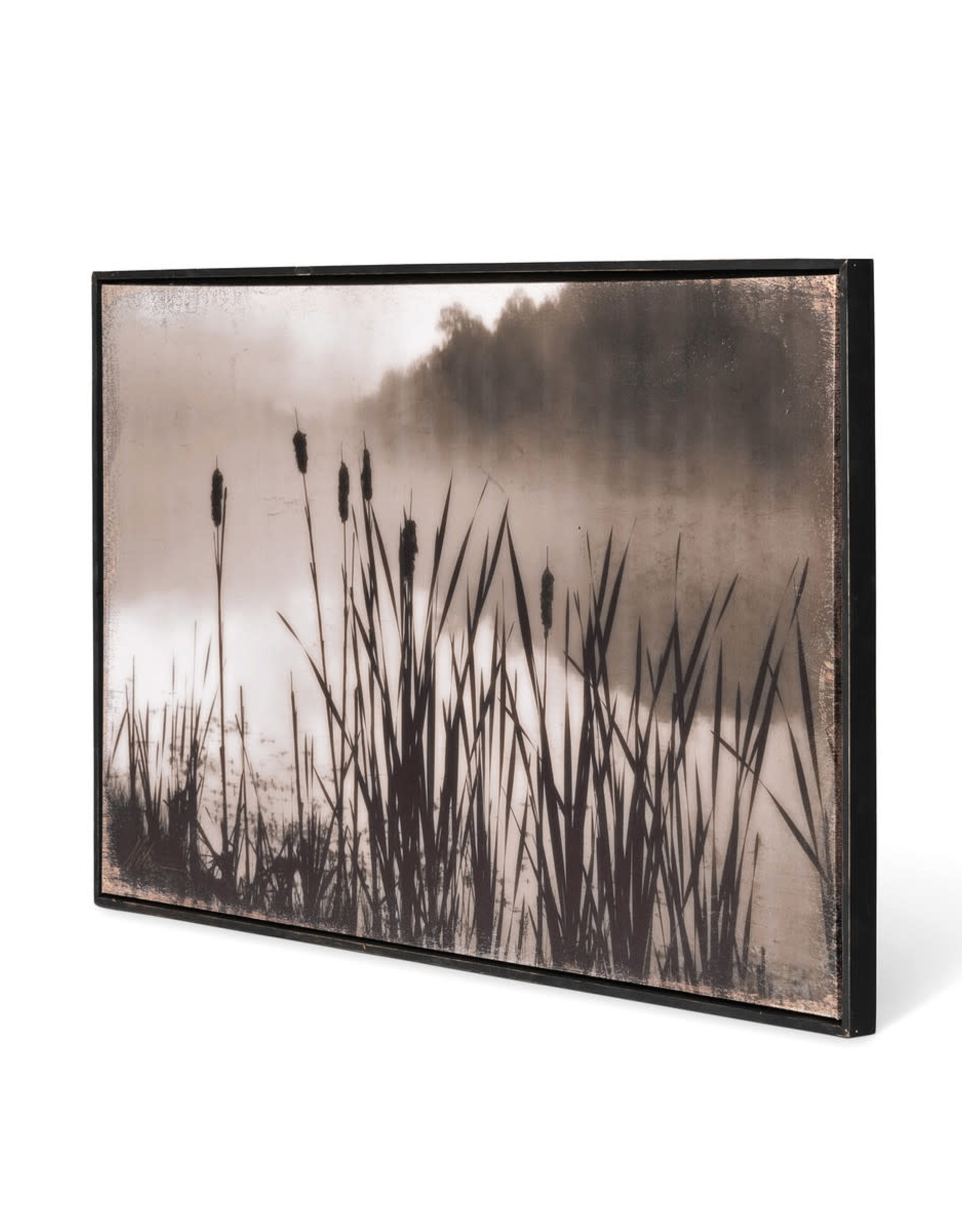 Park Hill Collection Framed Cattail Print 36.5"L x 1.25"W x 22.75"H