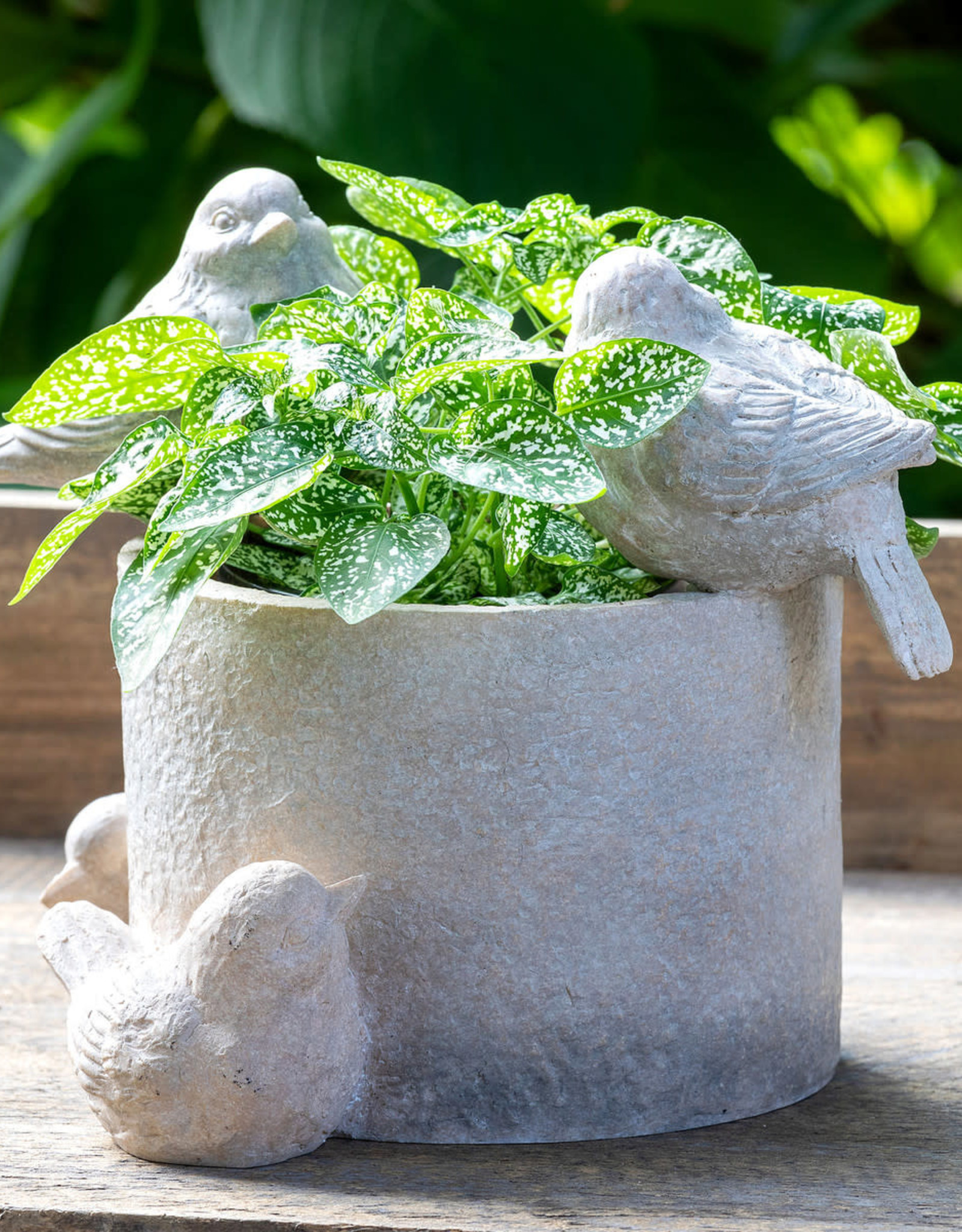 Park Hill Collection Garden Bird Planter, Large