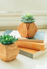 Flora Bunda Inc Succulents In Wood Pots