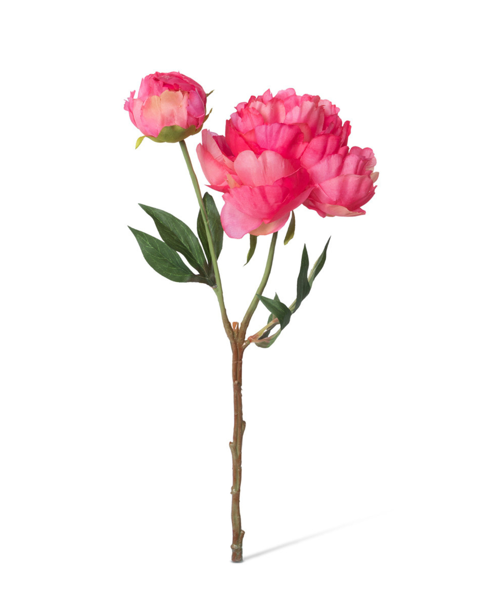 Park Hill Collection Summer Peony, Pink Cerise Mix, 3 Assorted Colors