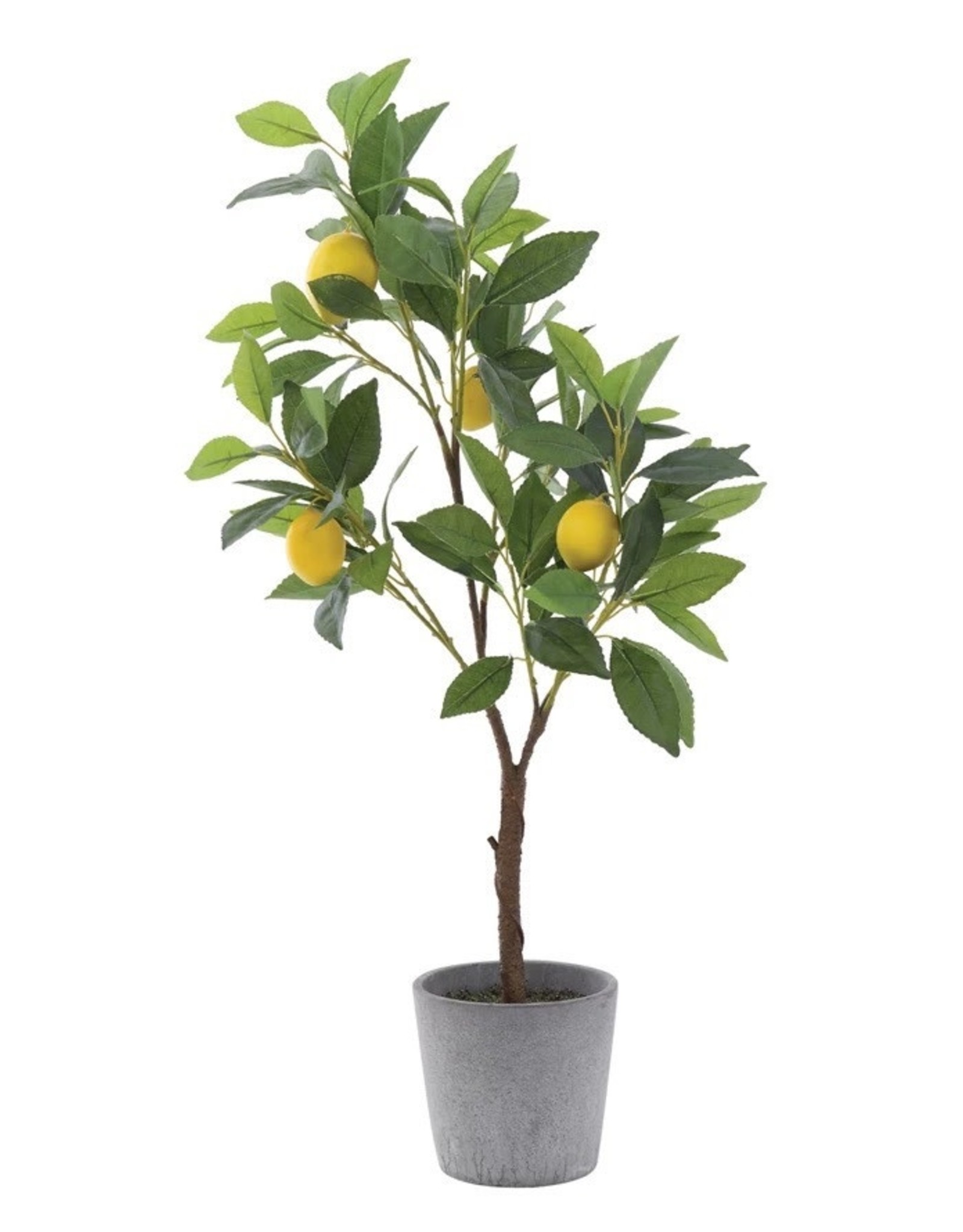 Creative Co-Op Faux Lemon Tree in Cement Pot