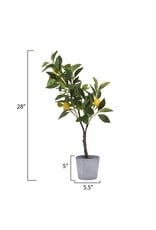 Creative Co-Op Faux Lemon Tree in Cement Pot