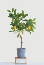 Creative Co-Op Faux Lemon Tree in Cement Pot