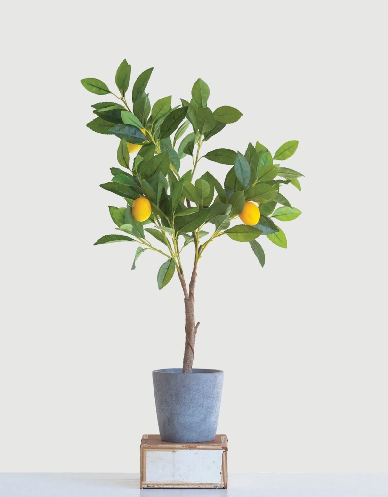 Creative Co-Op Faux Lemon Tree in Cement Pot