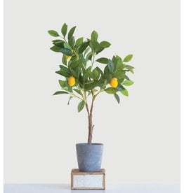 Creative Co-Op Faux Lemon Tree in Cement Pot