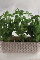 Creative Co-Op Hobnail Window Planter with 3 Sections