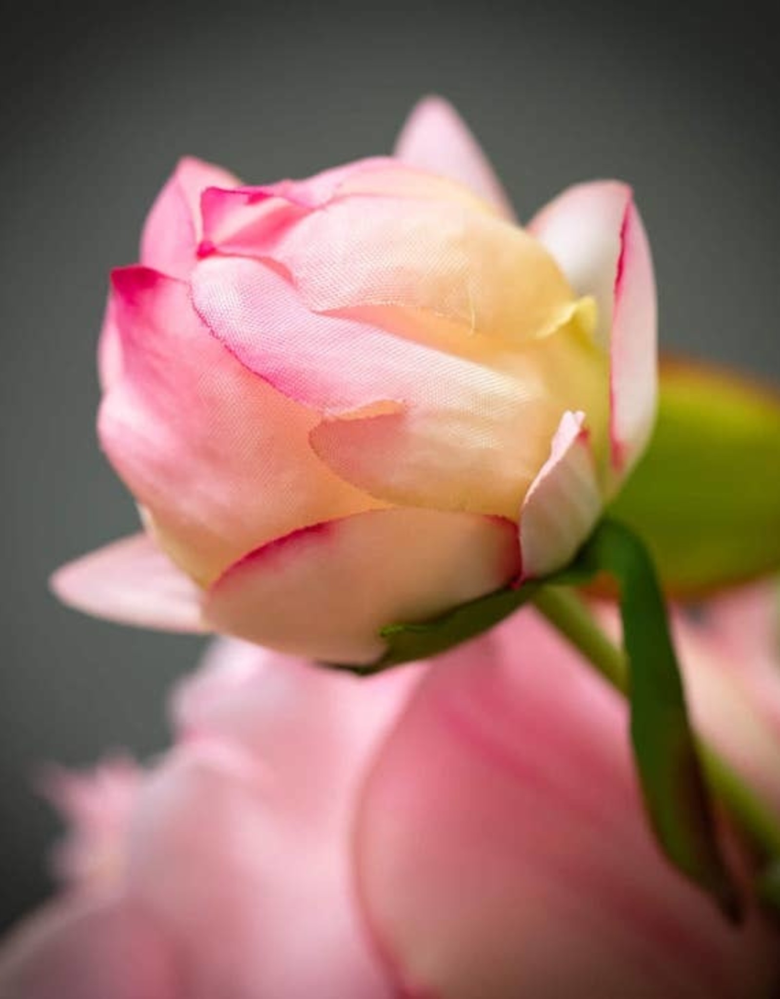 Sullivans Pink Peony Bud Spray