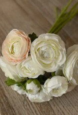White & Cream Ranunculus Bundle 13.5"