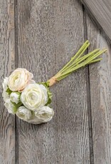 White & Cream Ranunculus Bundle 13.5"