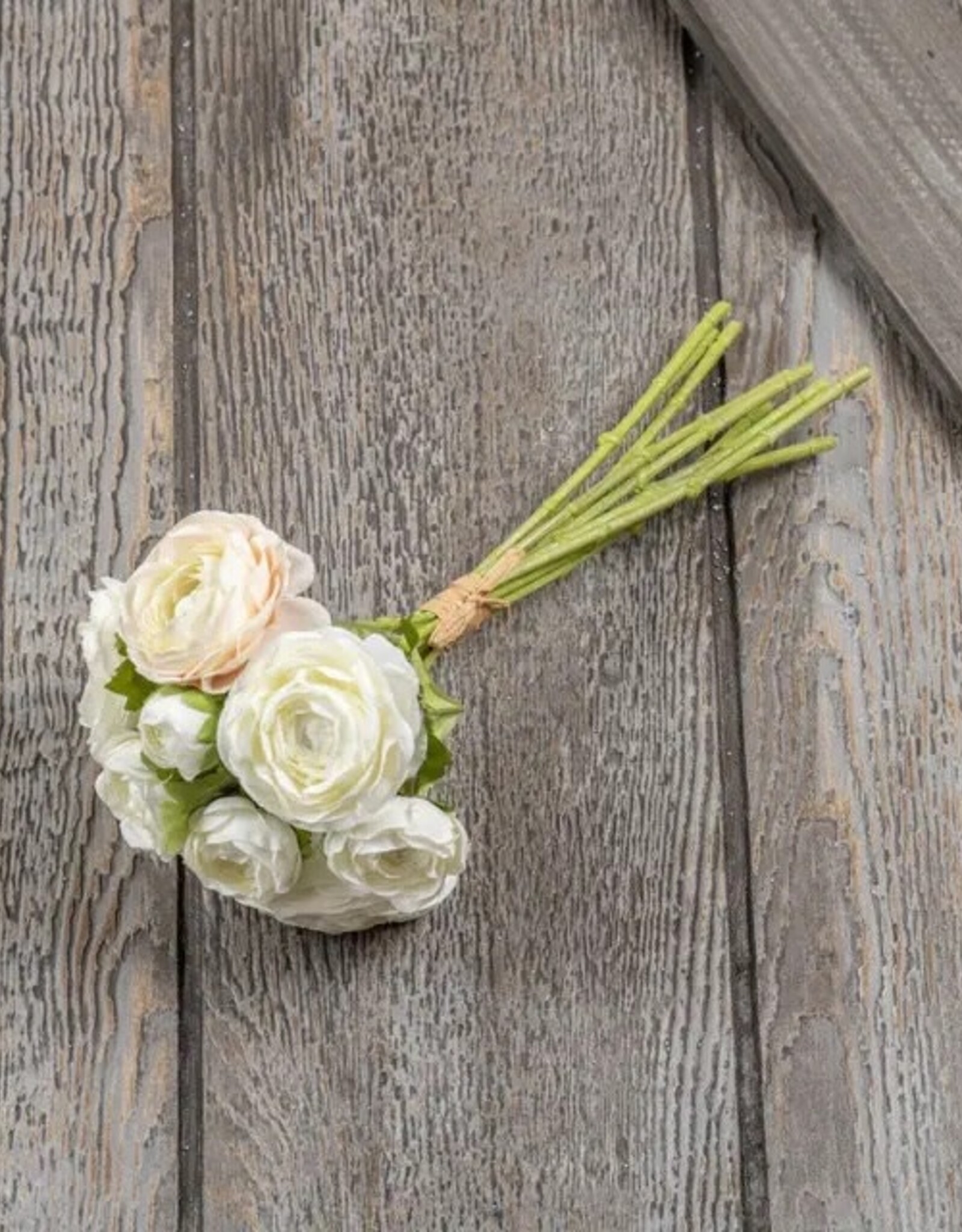 White & Cream Ranunculus Bundle 13.5"