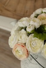 White & Cream Ranunculus Bundle 13.5"