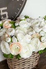 White & Cream Ranunculus Bundle 13.5"