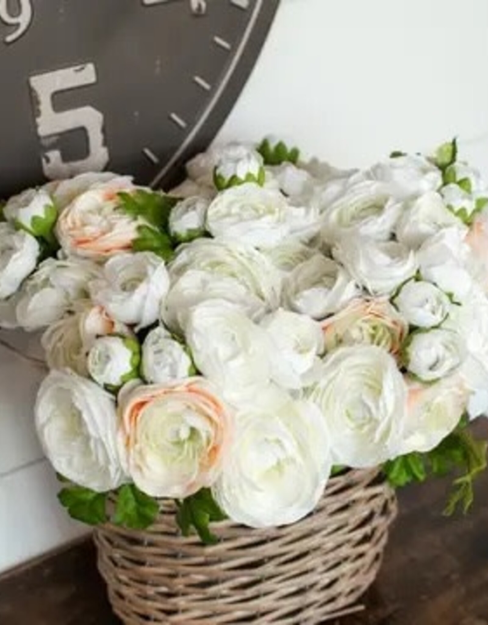 White & Cream Ranunculus Bundle 13.5"