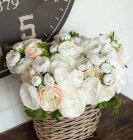 White & Cream Ranunculus Bundle 13.5"