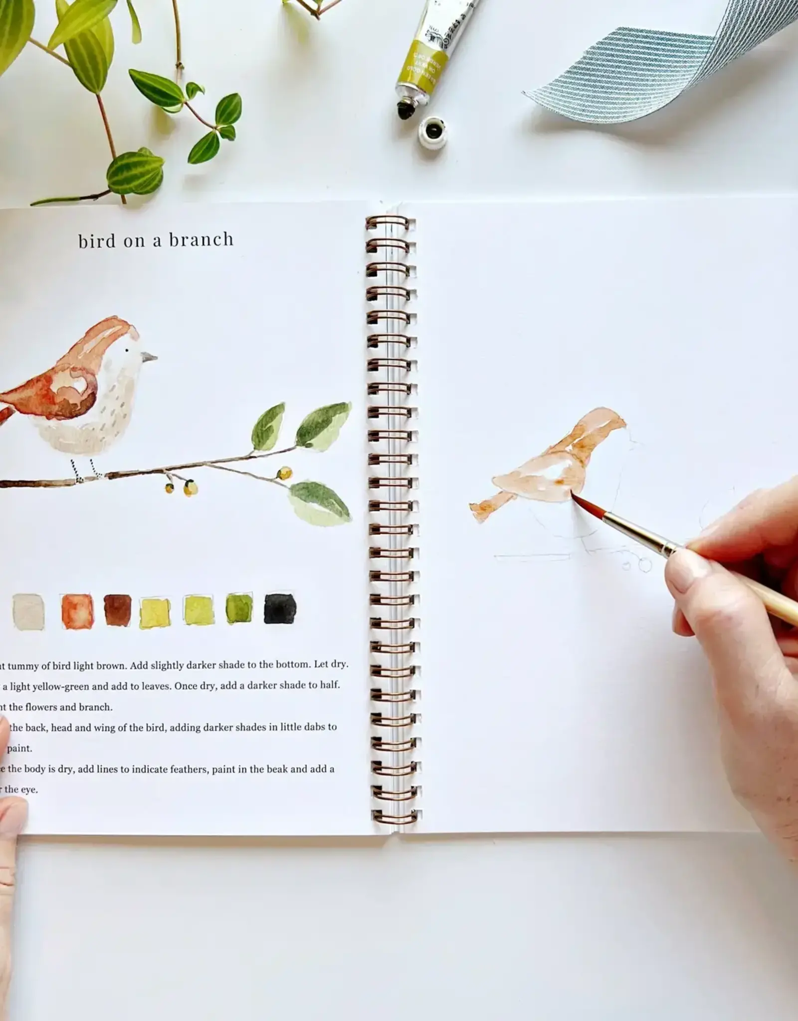 emily lex studio animals watercolor workbook