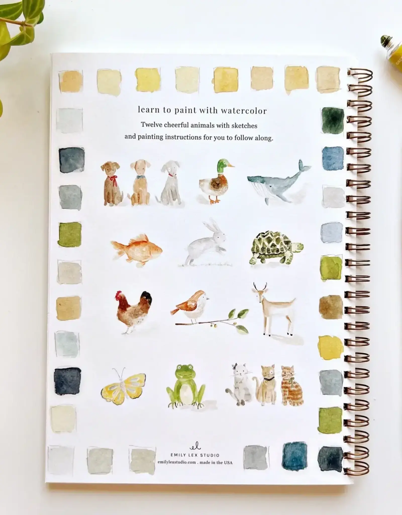 emily lex studio animals watercolor workbook