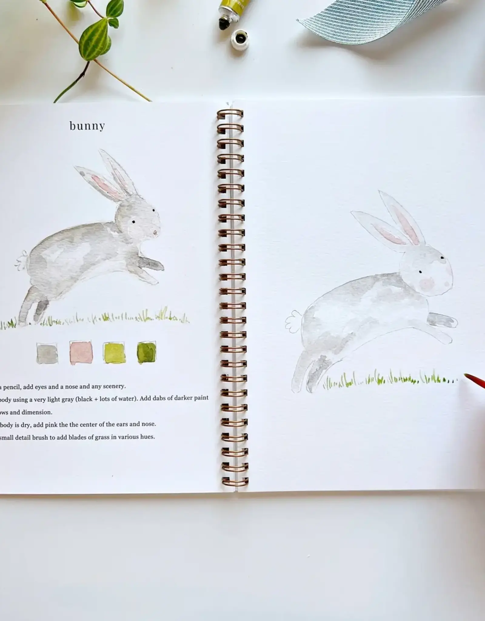 emily lex studio animals watercolor workbook