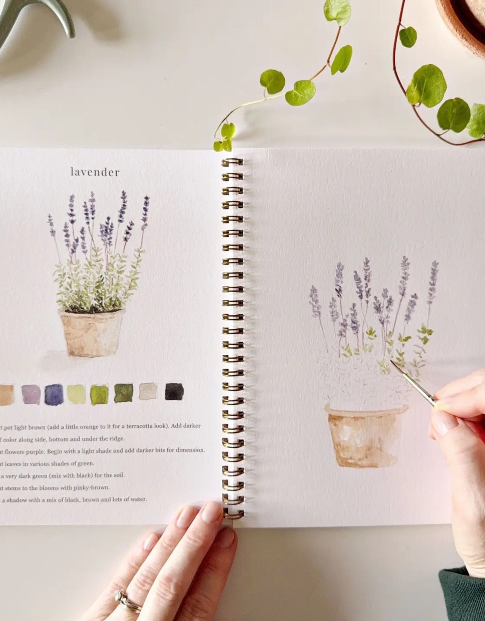 emily lex studio Garden Watercolor Workbook