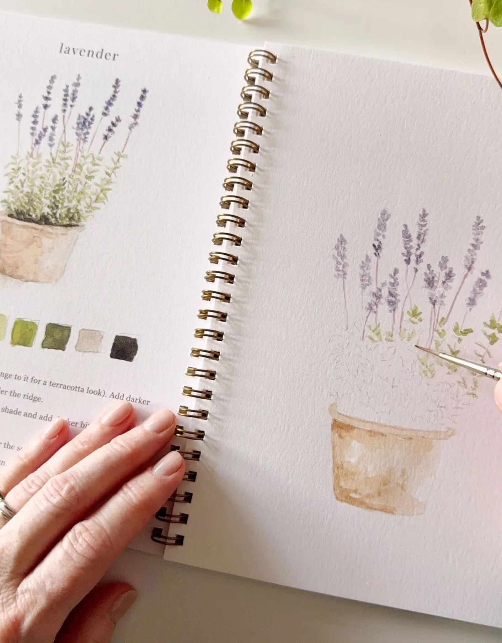 emily lex studio Garden Watercolor Workbook