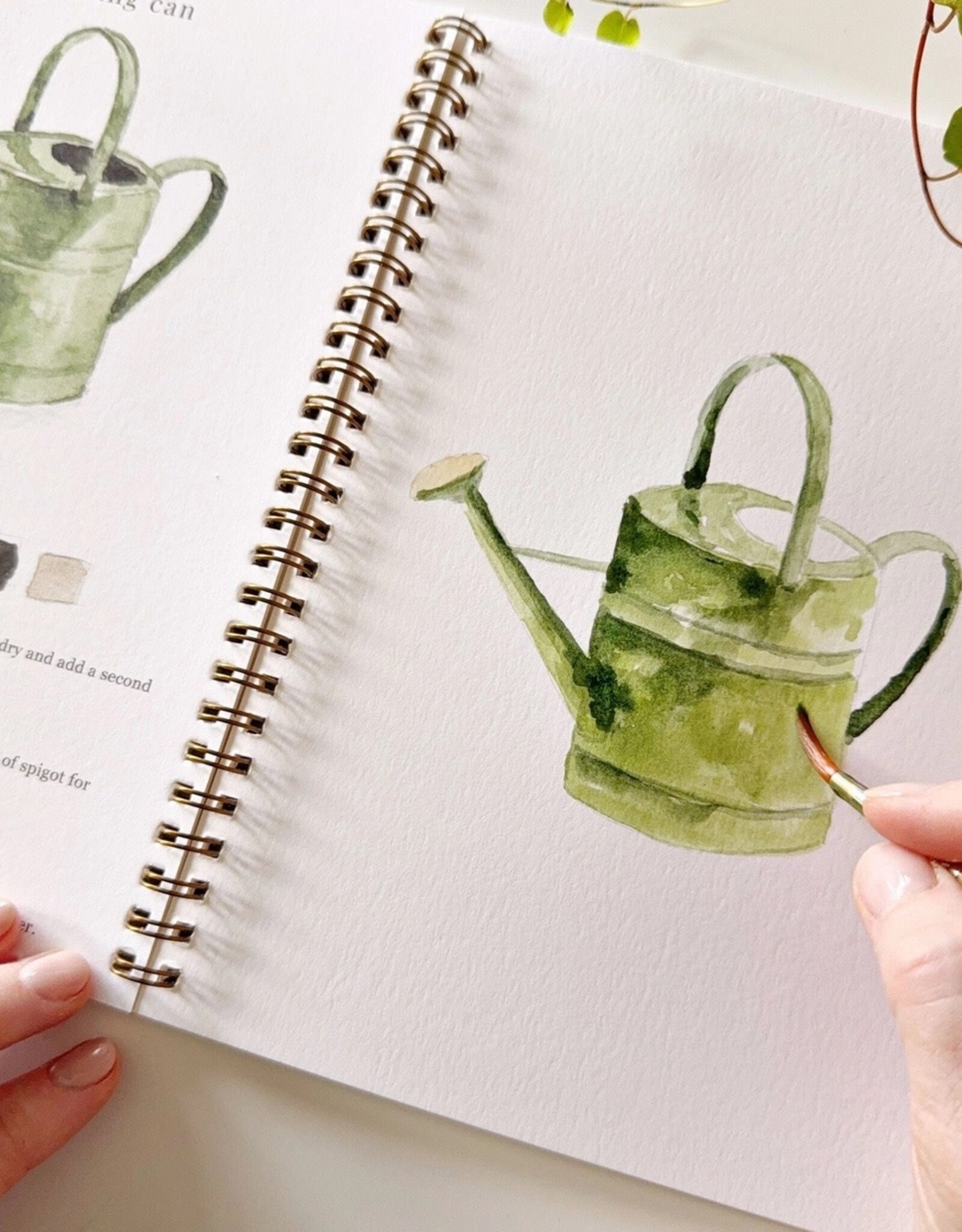 emily lex studio Garden Watercolor Workbook