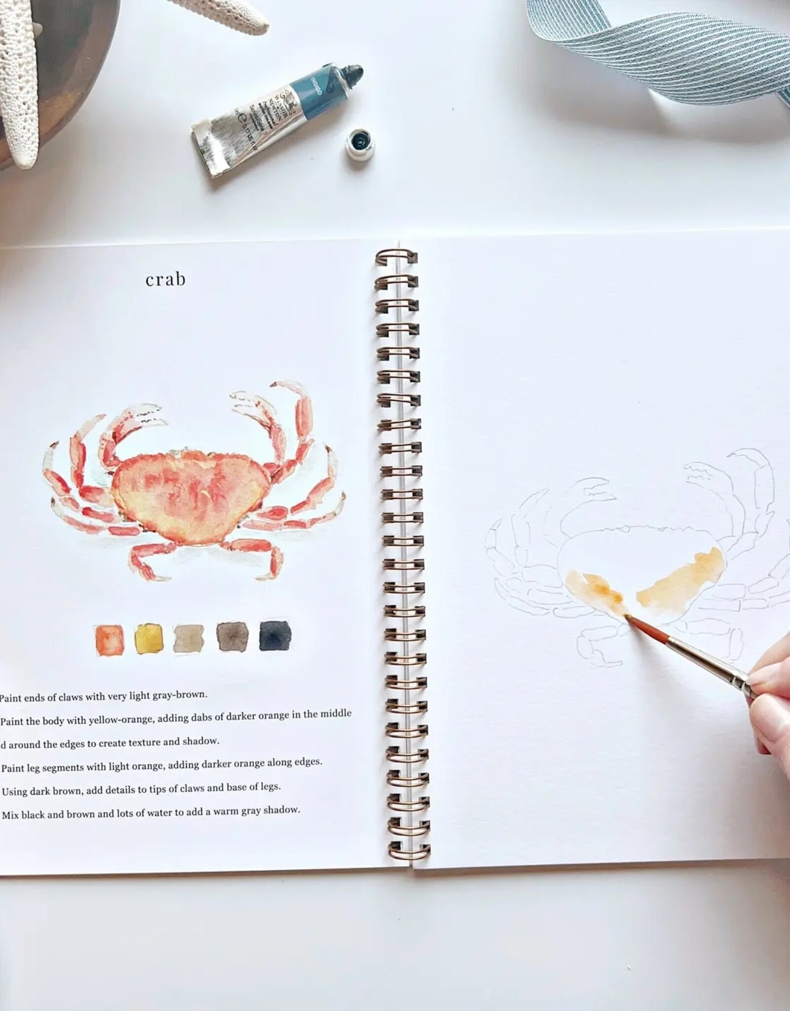 emily lex studio Seaside Watercolor Workbook