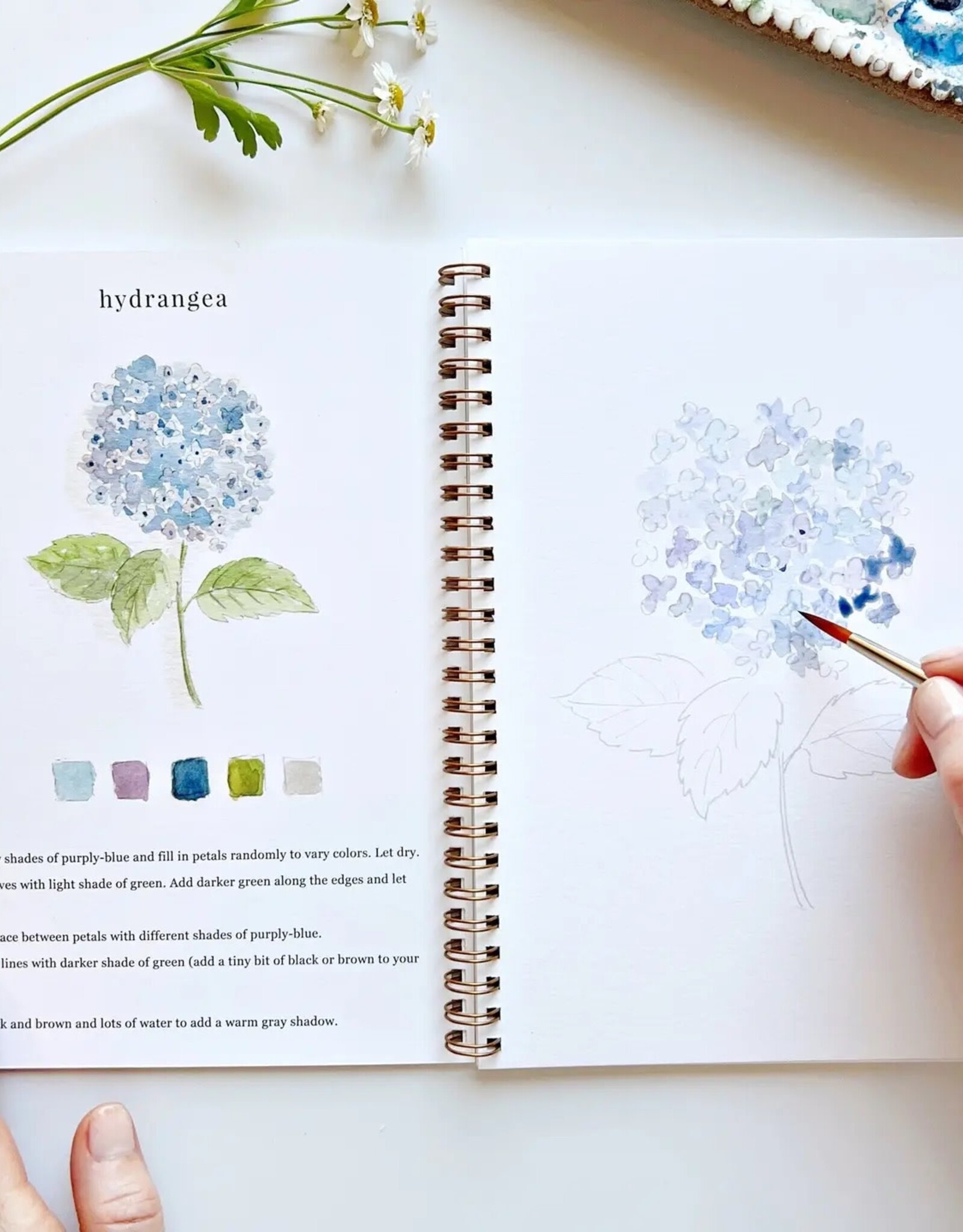 emily lex studio flowers watercolor workbook