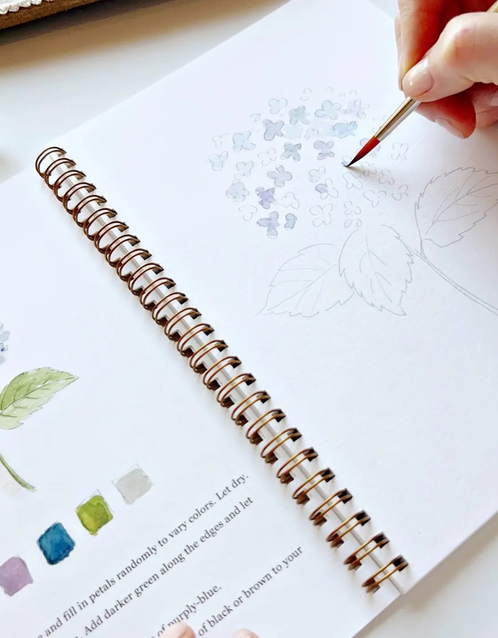 emily lex studio flowers watercolor workbook