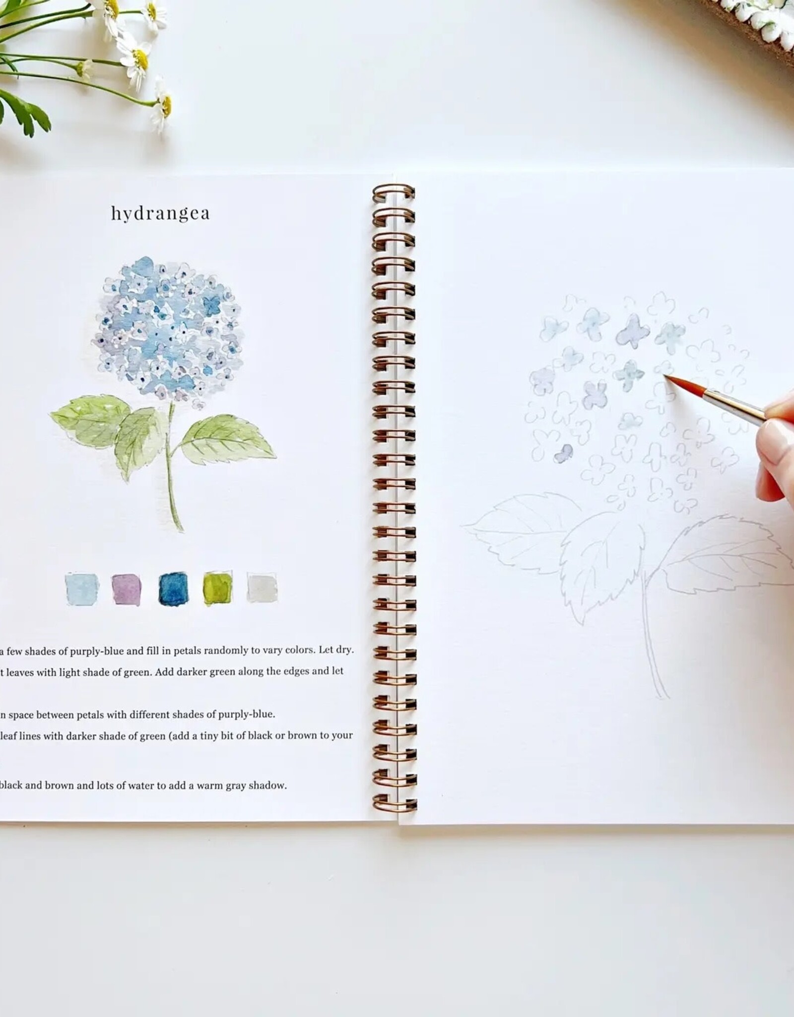emily lex studio flowers watercolor workbook