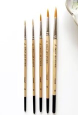 emily lex studio Watercolor Paintbrush Set