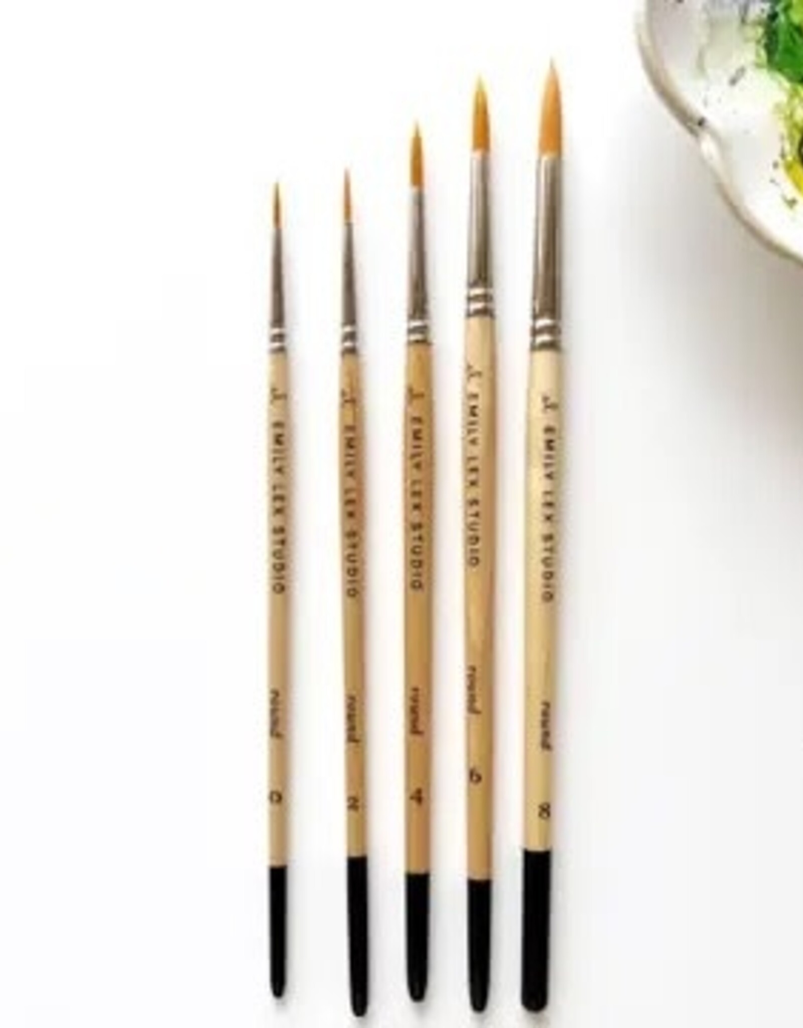 emily lex studio Watercolor Paintbrush Set