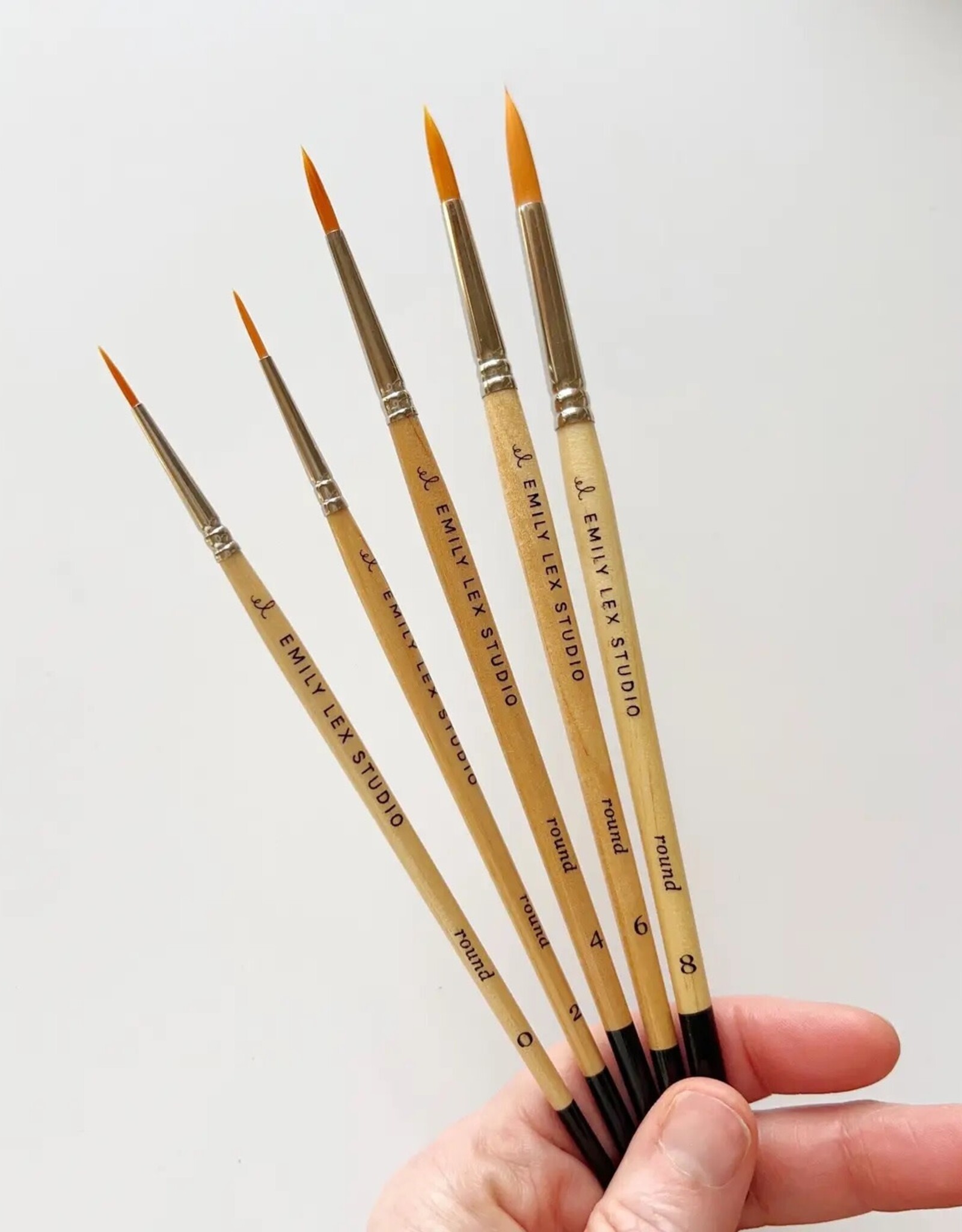 emily lex studio Watercolor Paintbrush Set