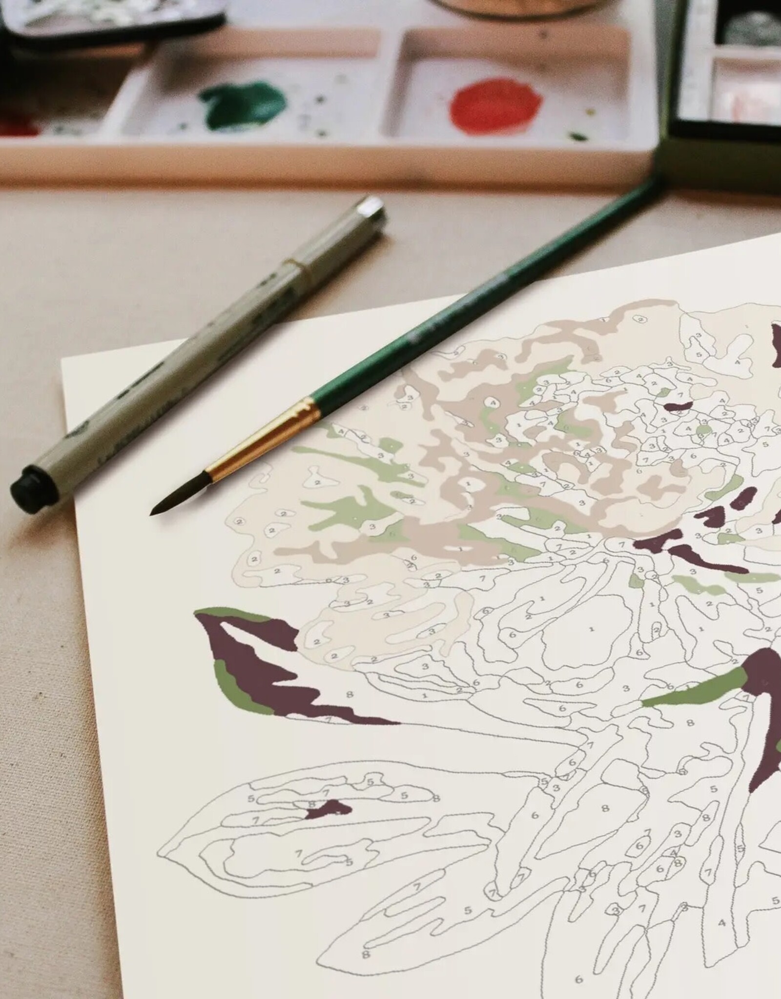 Crate & Paper Peony Blossoms Paint-By-Numbers Kit