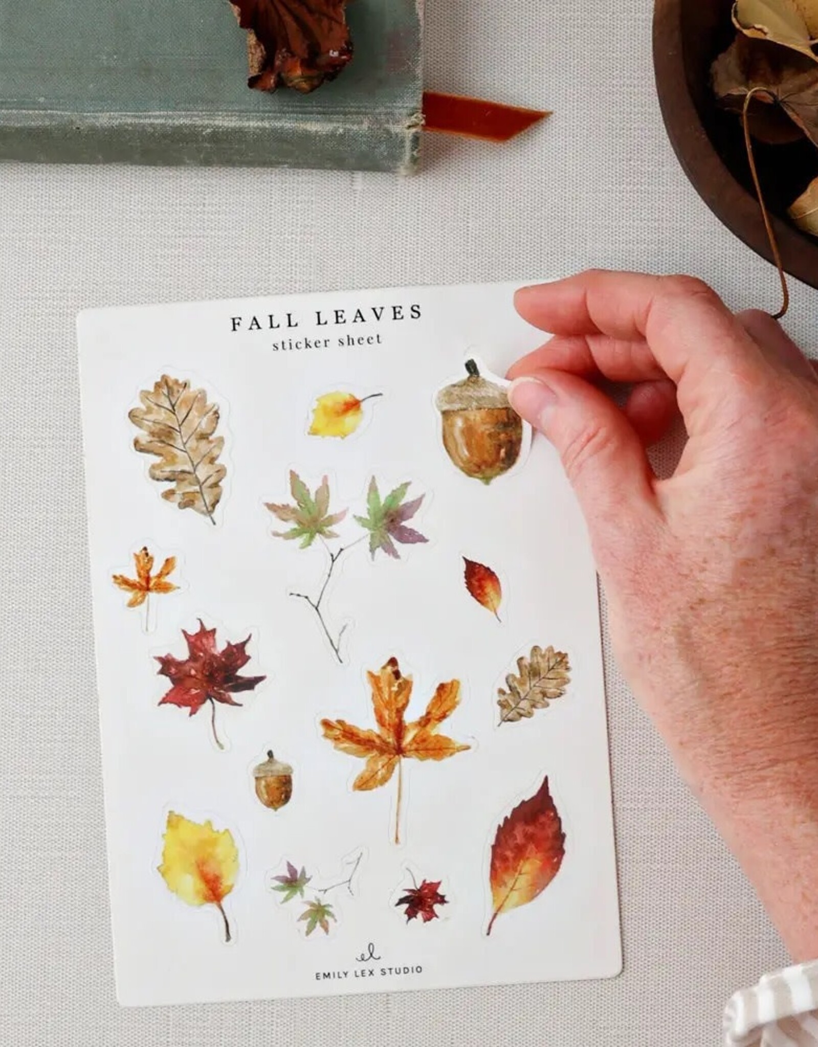 emily lex studio Sticker Sheets