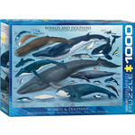 Eurographics Whales and Dolphins