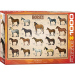 Eurographics Horses