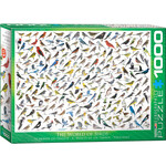 Eurographics The World of Birds